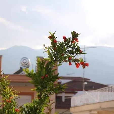 Appartement Of Zeus Iii-leptokarya *